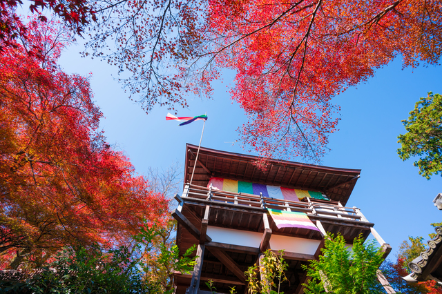 千光寺 京都 嵐山渡月橋からのアクセスは 徒歩での行き方と時間は 京都のアクセス